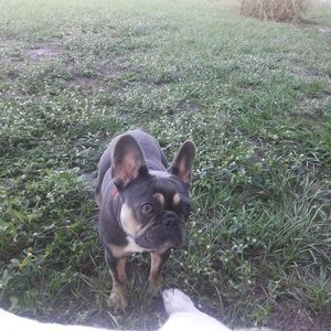 Meet your Posher, Winnie